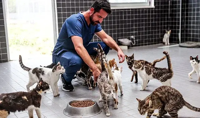 Das Tierheim in Antalya hat nun eine Kapazität von 5.000 Hunden und 700 Katzen erreicht