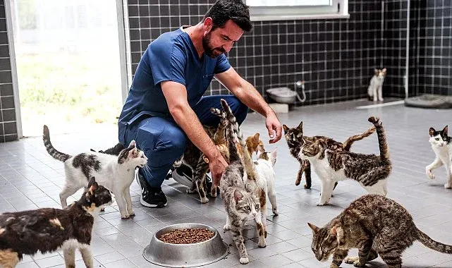 Antalya'daki merkez 5 bin köpek ve 700 kedi kapasitesine ulaştı
