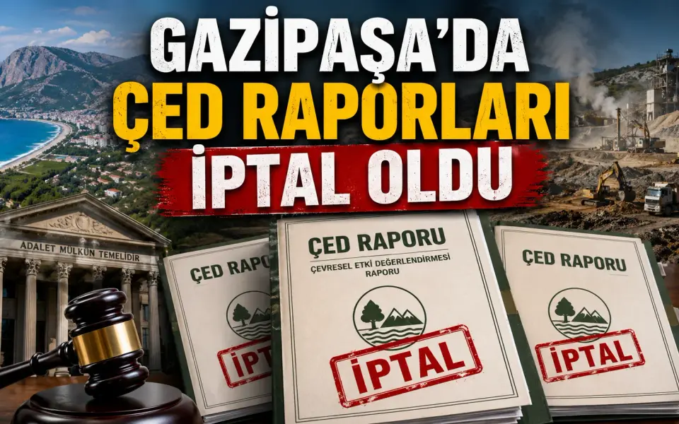 Gazipaşa Koru’da 4 otelle ilgili ÇED kararları iptal edildi