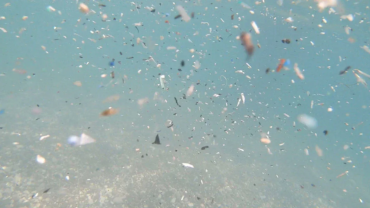 Akdeniz’de mikroplastik denetimi: 12 tesisin faaliyeti durduruldu