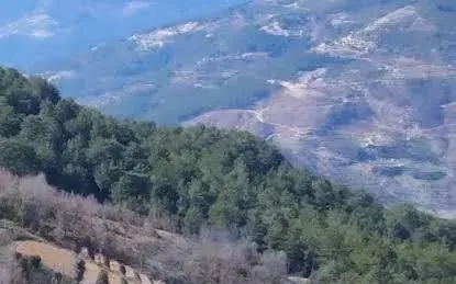 Alanya’da iki ayrı yangın ormana sıçradı: Ekipler kontrol altına aldı