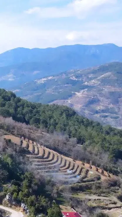Alanya’da iki ayrı yangın ormana sıçradı: Ekipler kontrol altına aldı