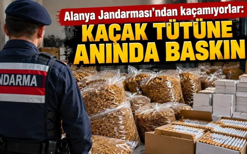Alanya Jandarması'ndan kaçamıyorlar: Kaçak tütüne anında baskın