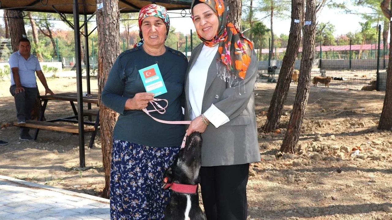 Aksu’da yangından kurtulan Kopi yeni yuvasına kavuştu — Antalya Körfez Gazetesi