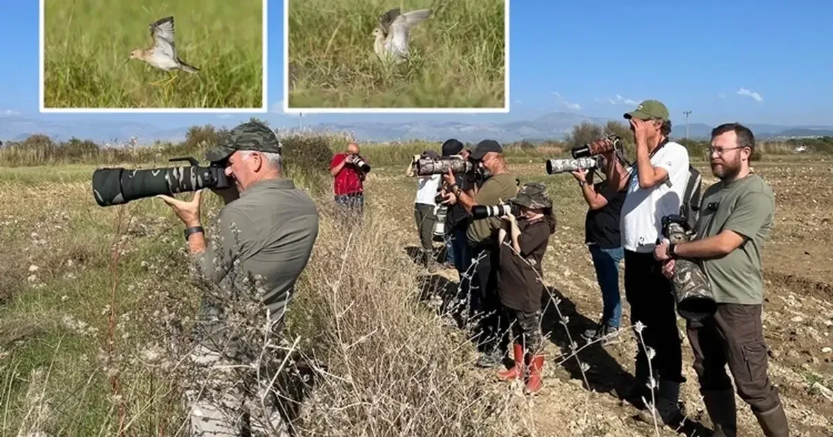 Manavgat Ulualan’daki keşif Türkiye’nin 506’ncı kuş türü oldu