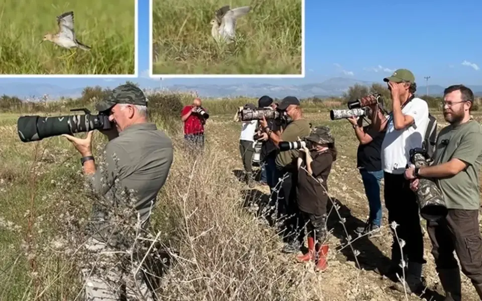Manavgat Ulualan’daki keşif Türkiye’nin 506’ncı kuş türü oldu