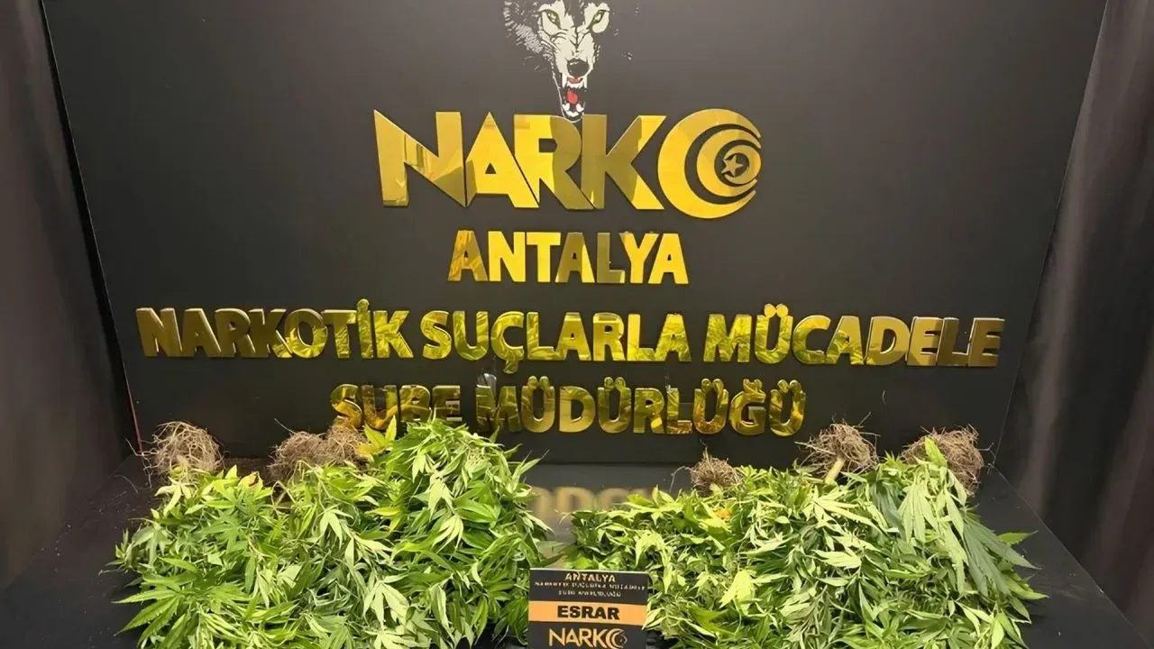 Antalya'da 32 operasyonda 28 bin 519 adet sentetik ecza ele geçirildi