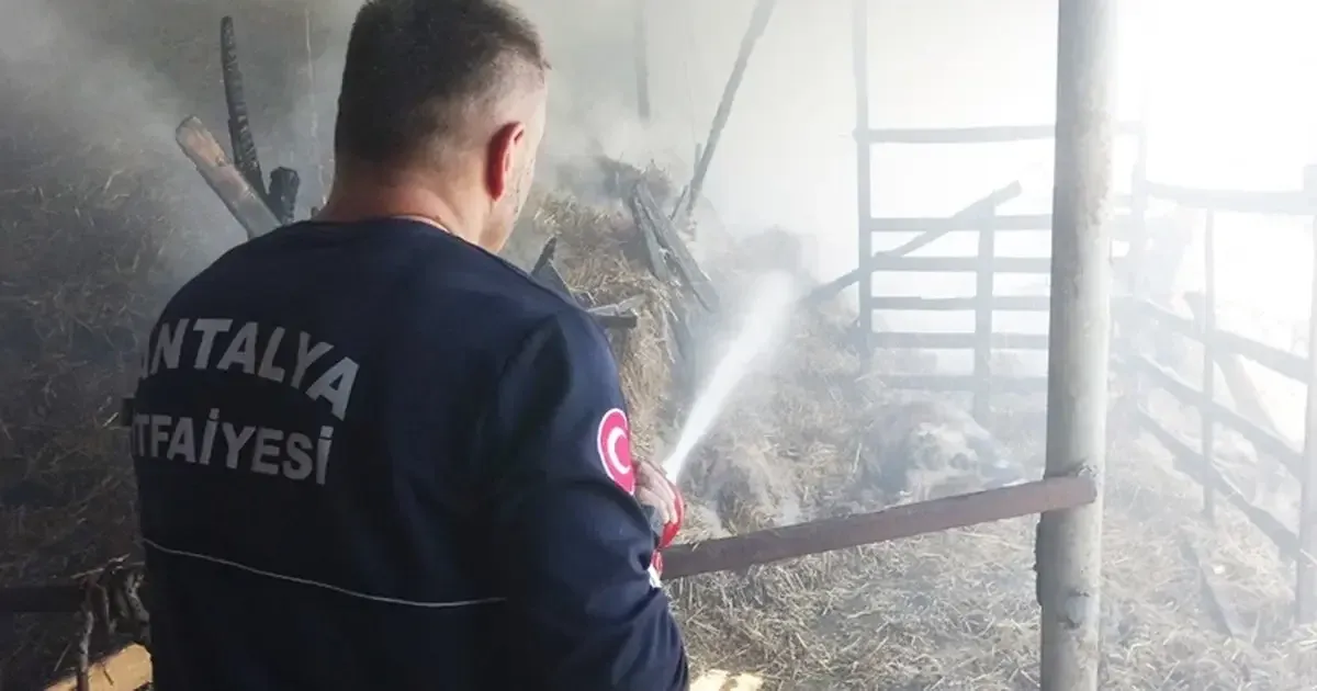 Gündoğdu Mahallesi’nde 2 yıl arayla aynı ahırda yangın