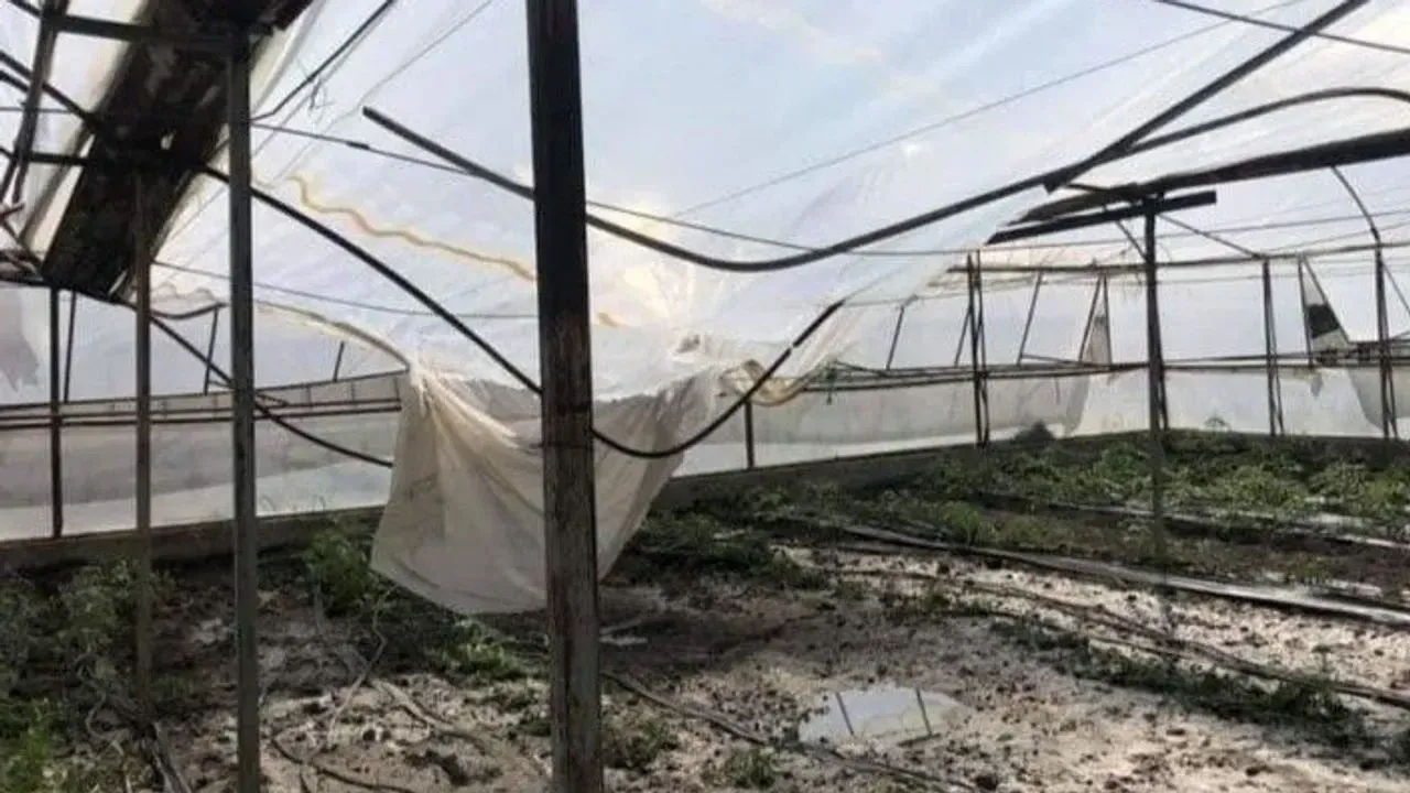 Emişbeleni’nde çöken 5 dekarlık seraya örtü desteği verilecek