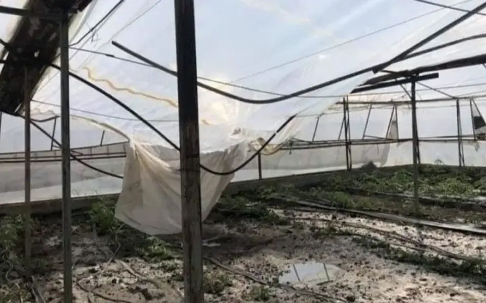Emişbeleni’nde çöken 5 dekarlık seraya örtü desteği verilecek